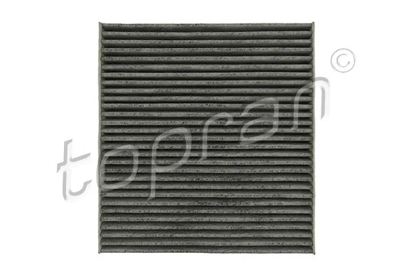 Filter, cabin air (600 096)
