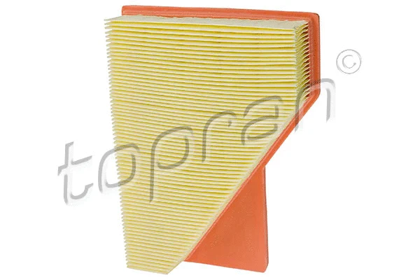 Air Filter (501 170)