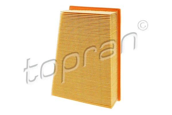 Air Filter (700 254)