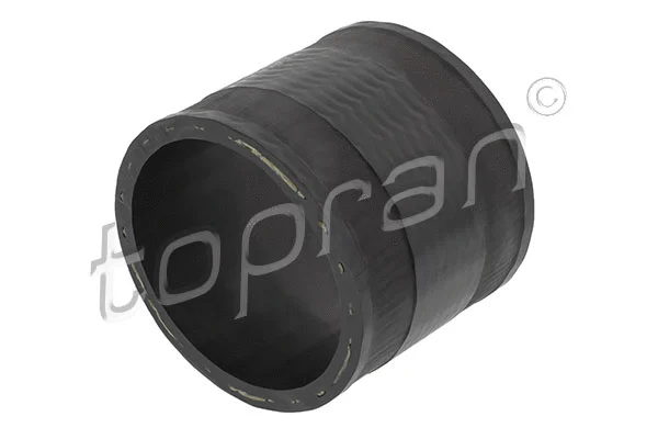 Charge Air Hose (111 537)