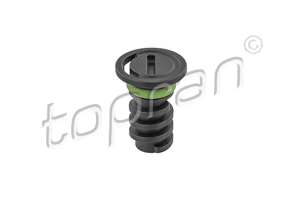 Screw Plug, oil sump (409 882)