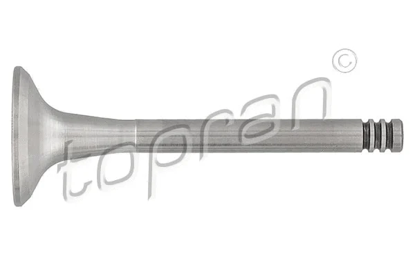 Exhaust Valve (101 026)