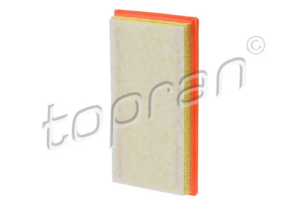 Air Filter (600 539)