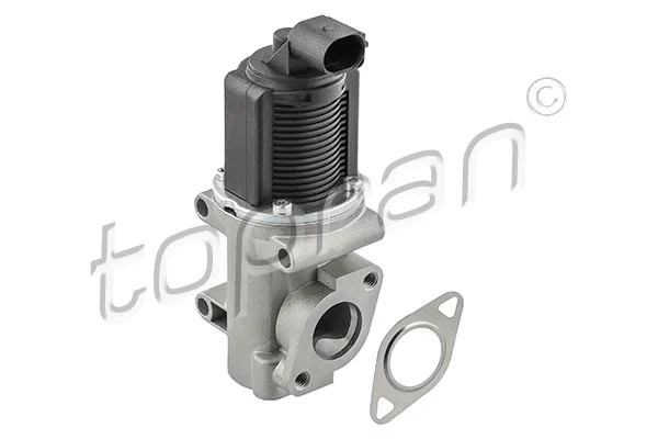 EGR Valve (207 930)