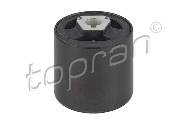 Mounting, control/trailing arm (501 045)