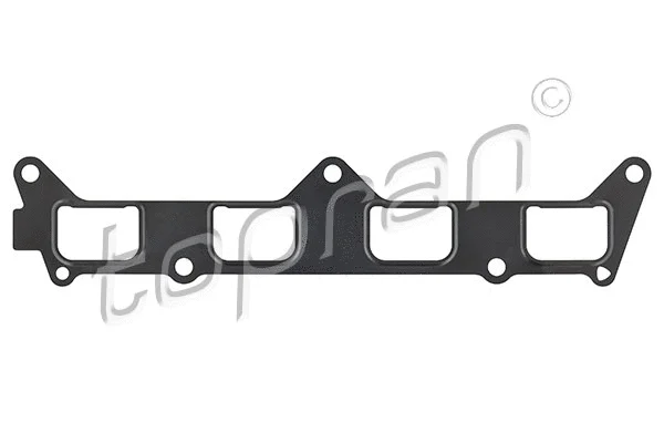 Gasket, intake manifold (111 913)
