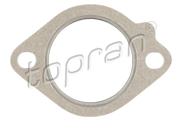 Gasket, exhaust pipe (502 788)