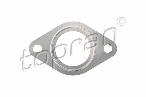 Gasket, exhaust pipe (302 241)