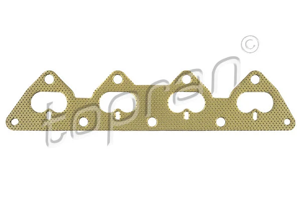 Gasket, exhaust manifold (203 857)