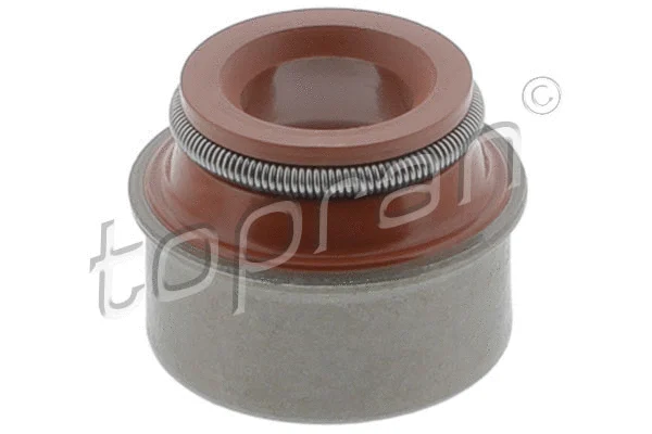 Seal Ring, valve stem (100 254)