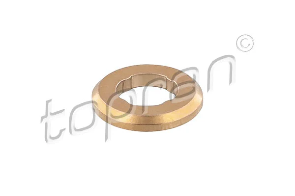 Seal Ring, injector (116 553)