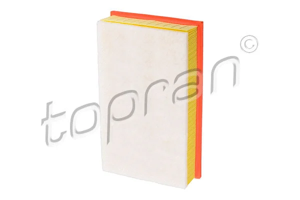 Air Filter (112 387)