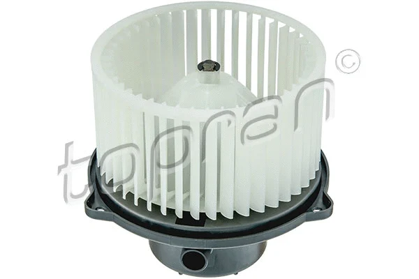 Interior Blower (821 057)