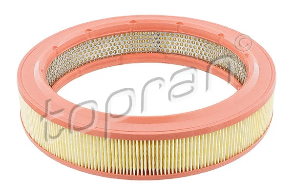 Air Filter (100 619)