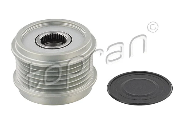 Alternator Freewheel Clutch (118 602)