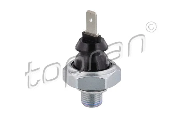 Oil Pressure Switch (101 507)