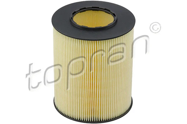 Air Filter (401 038)