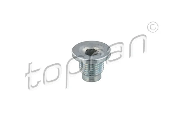 Screw Plug, oil sump (502 418)