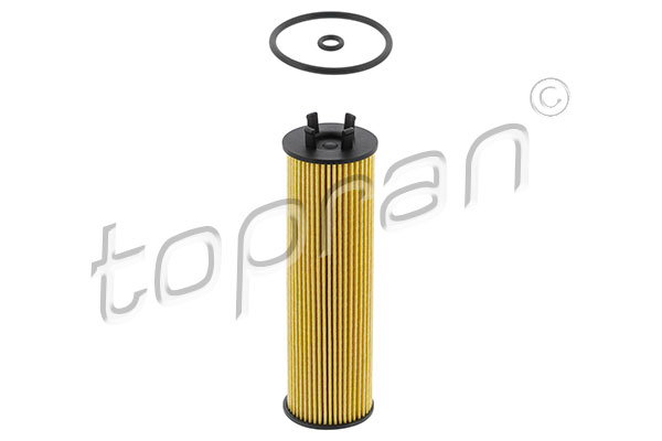 Oil Filter (119 698)