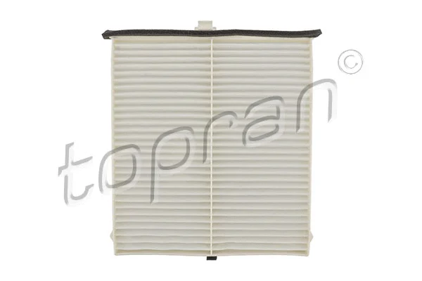 Filter, cabin air (600 101)