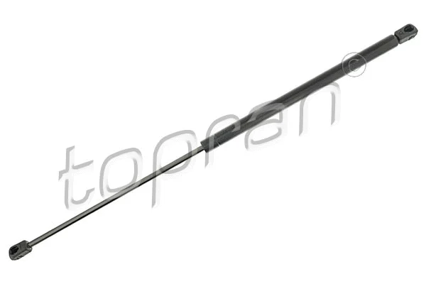 Gas Spring, boot/cargo area (304 489)