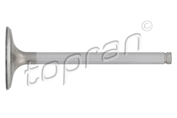 Intake Valve (721 555)