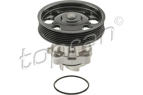 Water Pump, engine cooling (304 138)