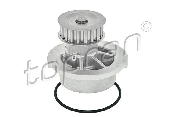 Water Pump, engine cooling (202 280)