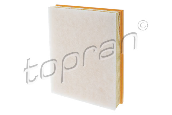 Air Filter (206 879)