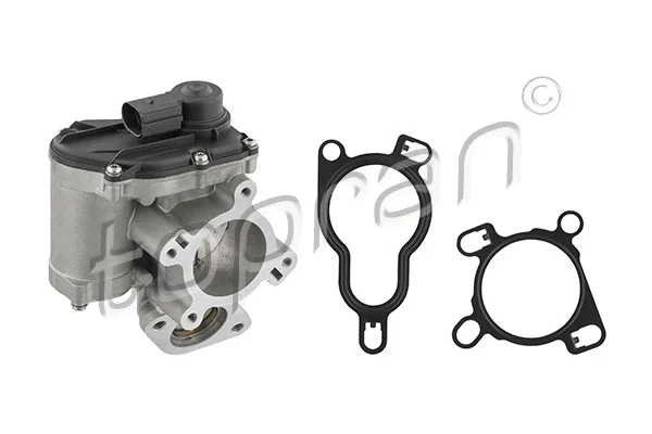 EGR Valve (639 167)