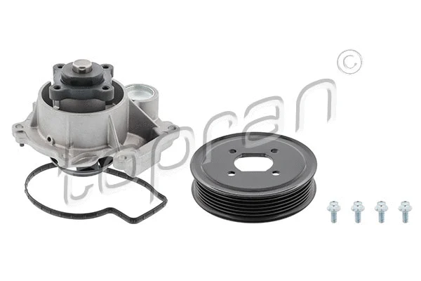 Water Pump, engine cooling (620 691)