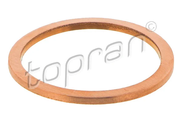 Seal Ring, oil drain plug (207 582)