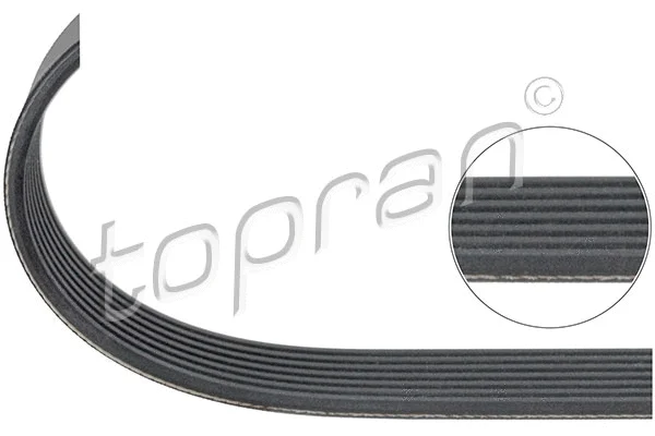 V-Ribbed Belt (113 625)