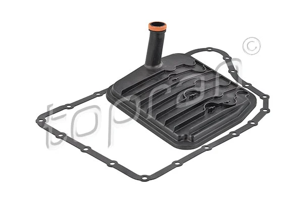 Hydraulic Filter Kit, automatic transmission (304 966)