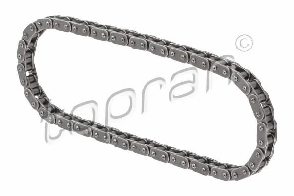 Timing Chain (502 979)