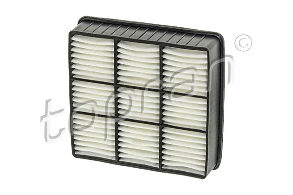 Air Filter (600 075)