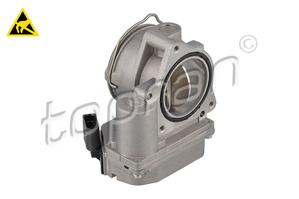 Throttle Body (117 308)
