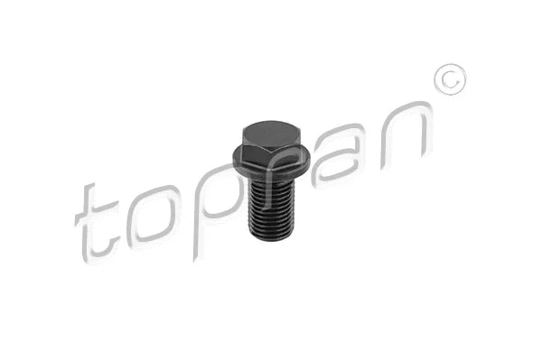 Screw Plug, oil sump (820 318)