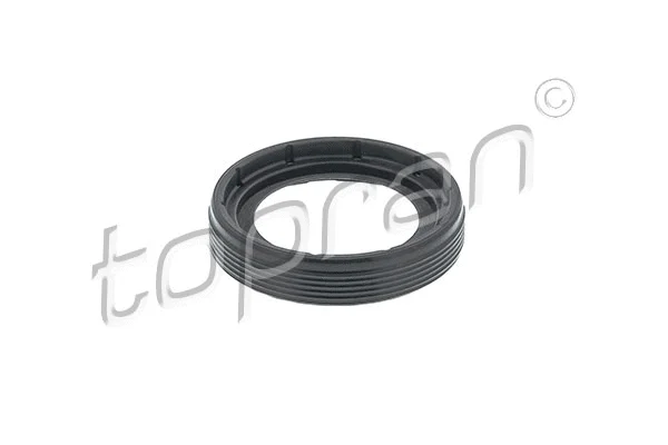Shaft Seal, crankshaft (116 877)