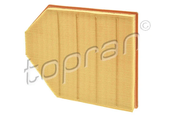 Air Filter (502 487)