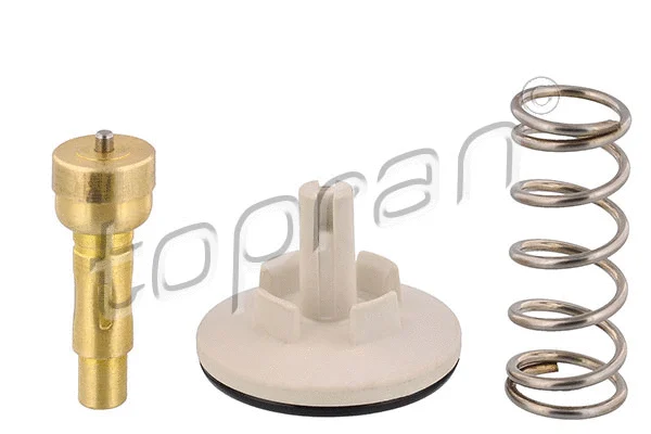 Thermostat, coolant (113 287)