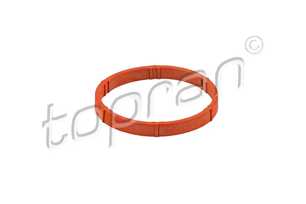 Gasket, intake manifold (109 374)