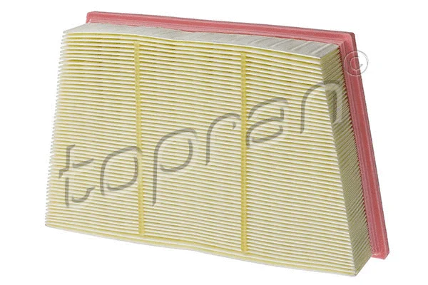 Air Filter (620 875)