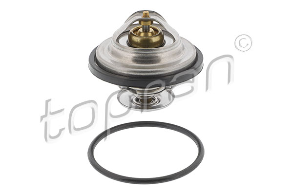 Thermostat, coolant (500 544)