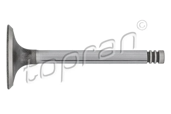 Intake Valve (100 671)