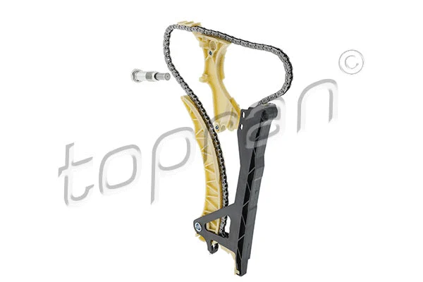 Timing Chain Kit (503 189)