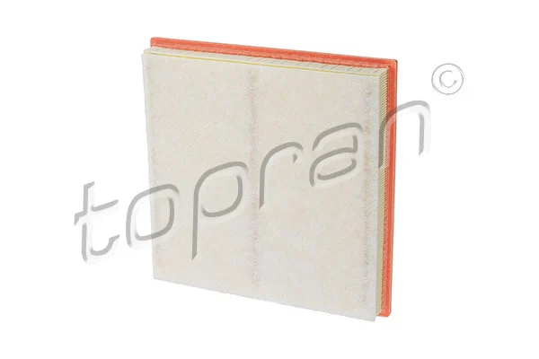 Air Filter (207 777)