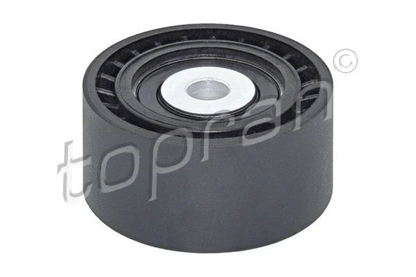 Deflection/Guide Pulley, timing belt (304 466)