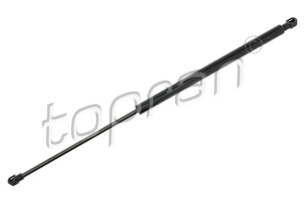 Gas Spring, rear window (723 613)