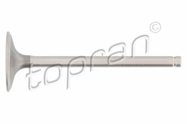 Intake Valve (700 655)